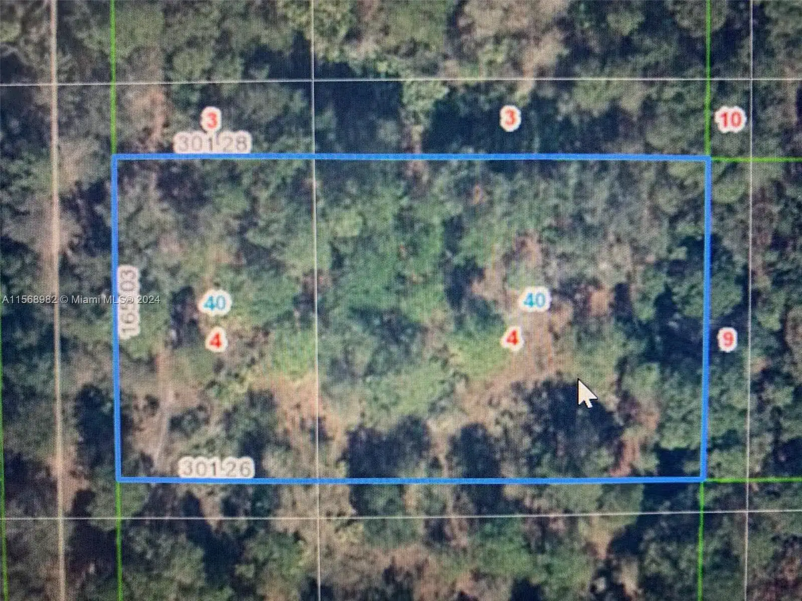 1939 S Griese Road, Avon Park FL 33825