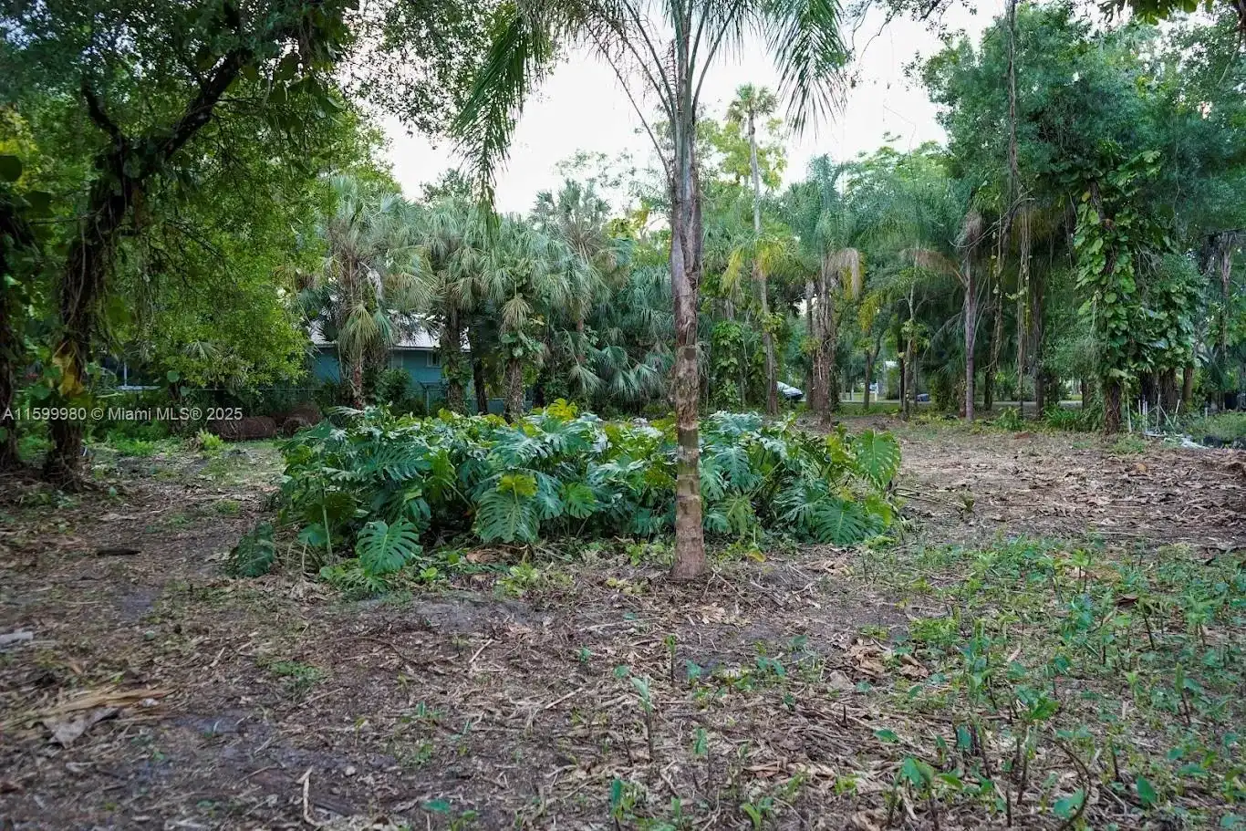 385 Caloosa Dr, La Belle FL 33935