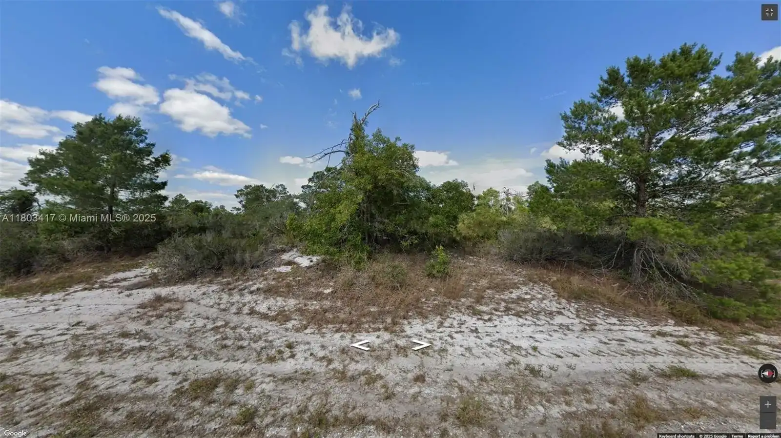 341 NE Galapagos Ave, Lake Placid FL 33852