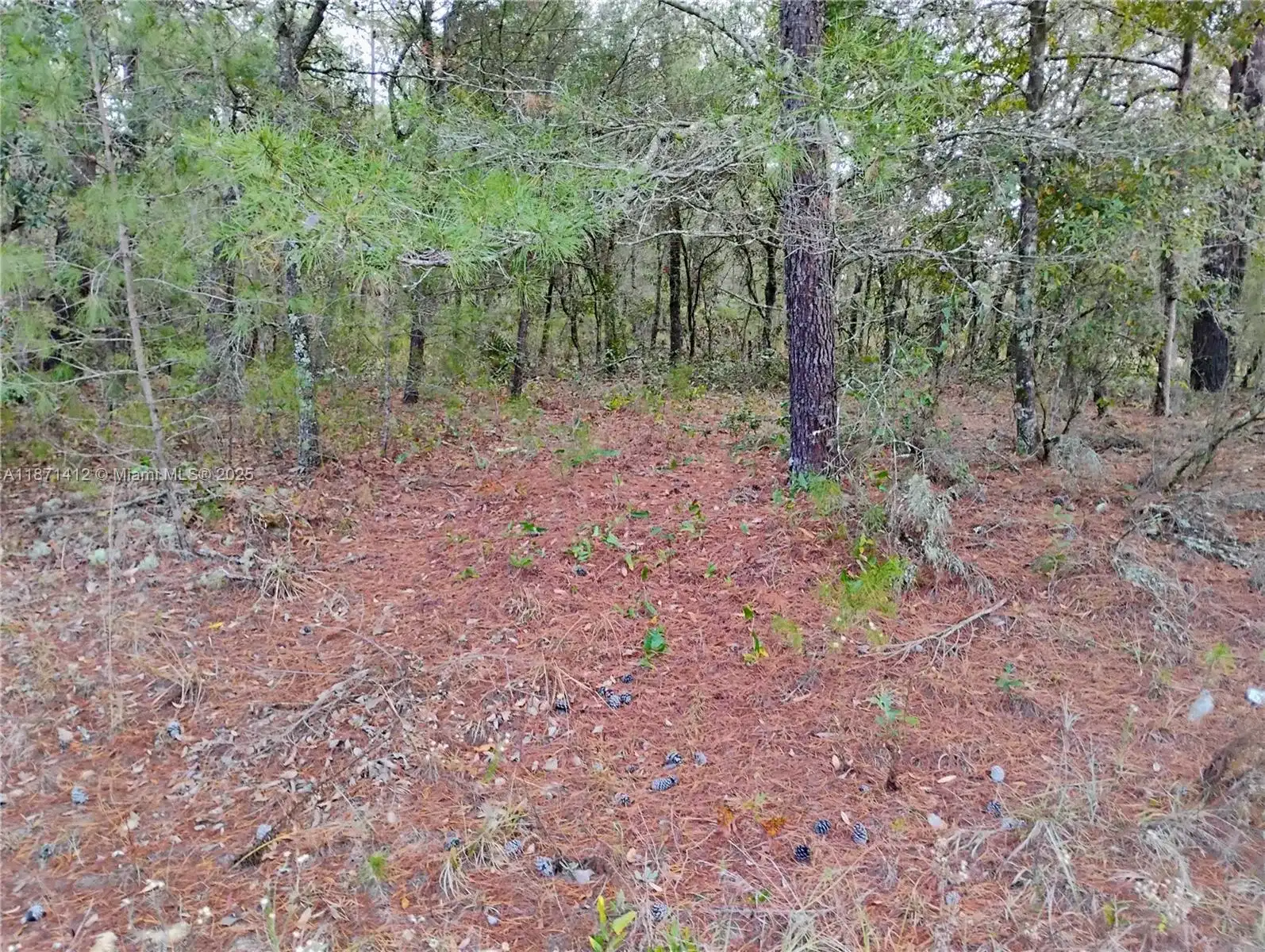 302 Kennedy, Palatka FL 32148