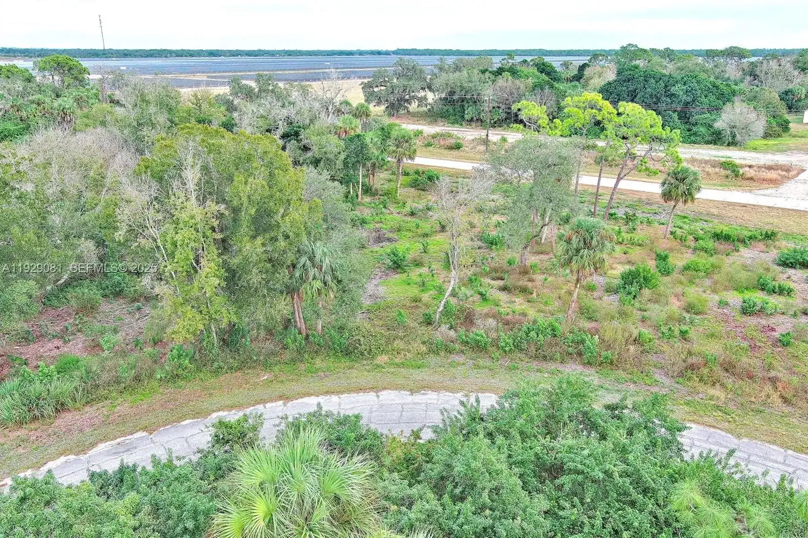 171 CAROUSEL AVE, La Belle FL 33935
