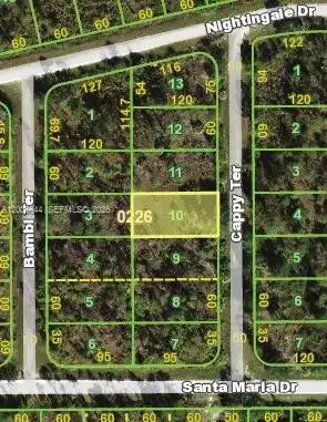 13347 Cappy Ter, Punta Gorda FL 33955