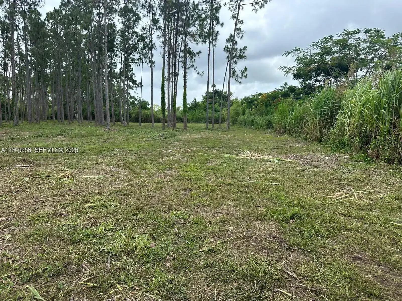 19440 SW 332 St, Homestead FL 33034