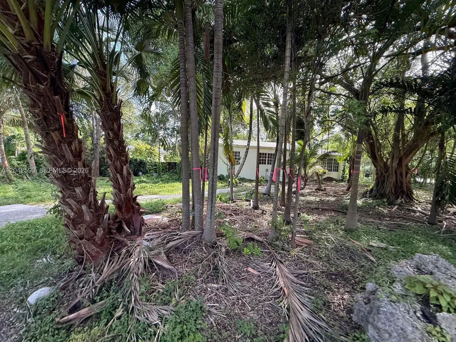 6600 SW 64th Ct, South Miami FL 33143