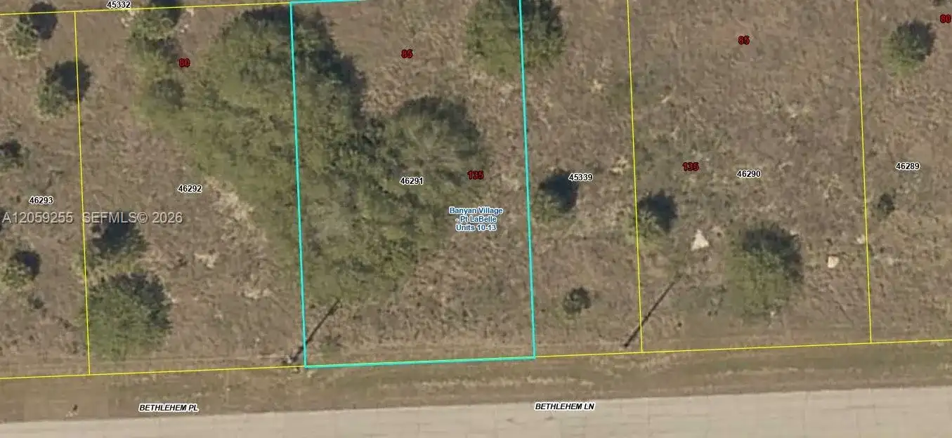 118 Bethlehem Pl, La Belle FL 33935