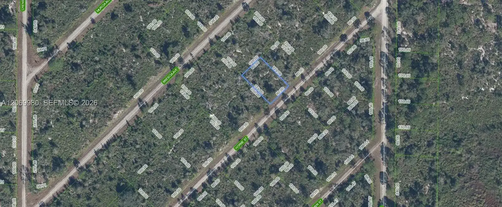 3517 HORNE STREET, Lake Placid FL 33852