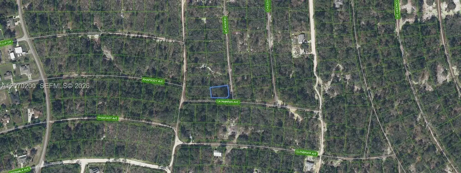 416 HEAVEN DRIVE, Lake Placid FL 33852