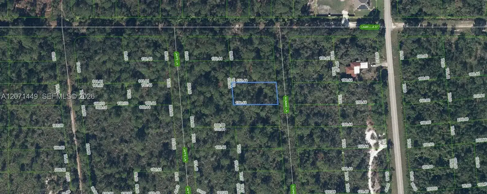 722 Ronnie Lane, Lake Placid FL 33852