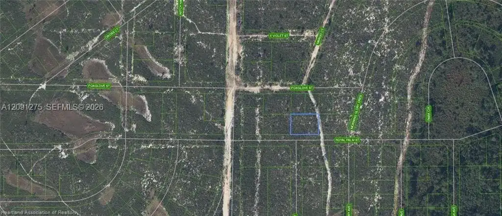 6033 Royal Palm St, Sebring FL 33870