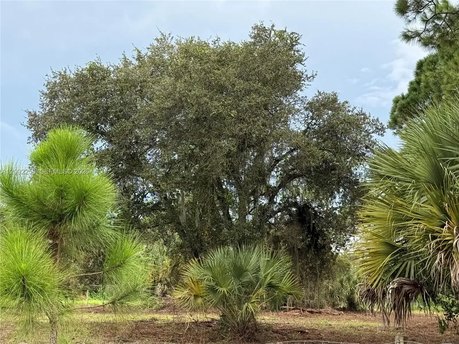 380 S LINDERO ST, Clewiston FL 33440