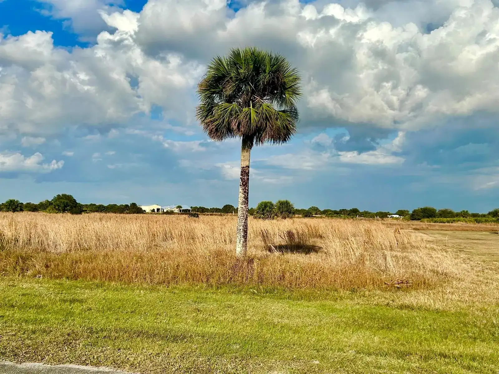 6635 SE 26th Trail, Okeechobee FL 34974