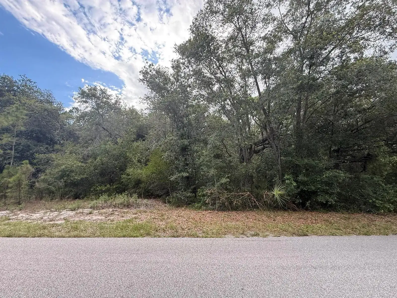 1012 Wildflower Street, Lake Placid FL 33852