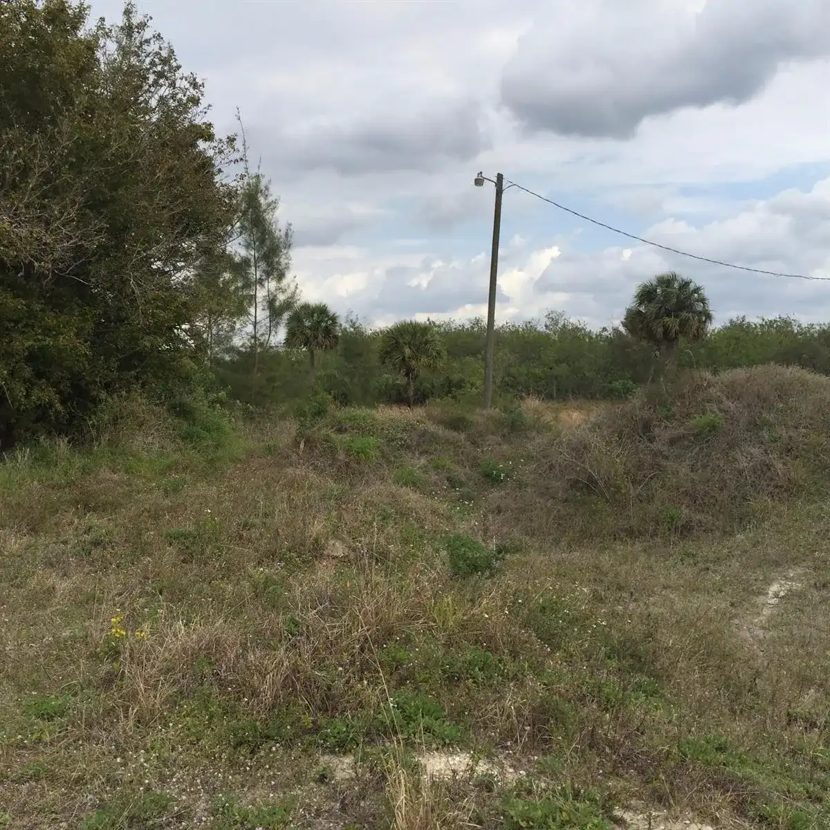 20636 LOUISE Street, Loxahatchee FL 33470