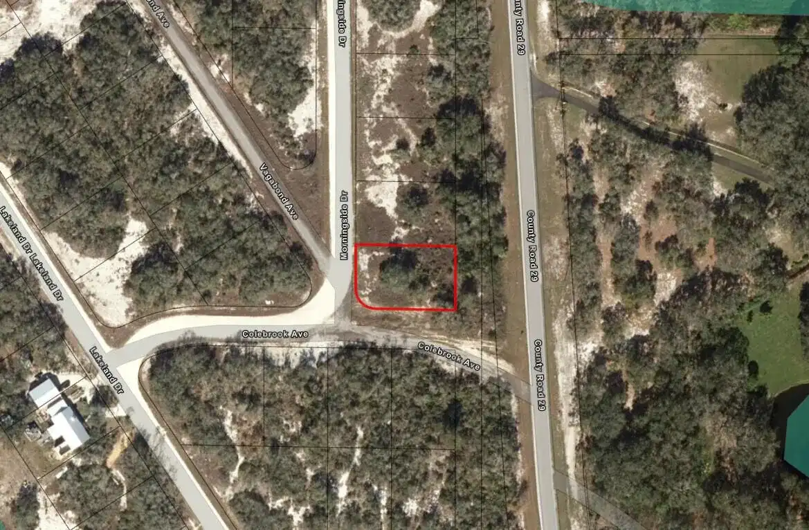 788 Morningside Drive, Lake Placid FL 33852
