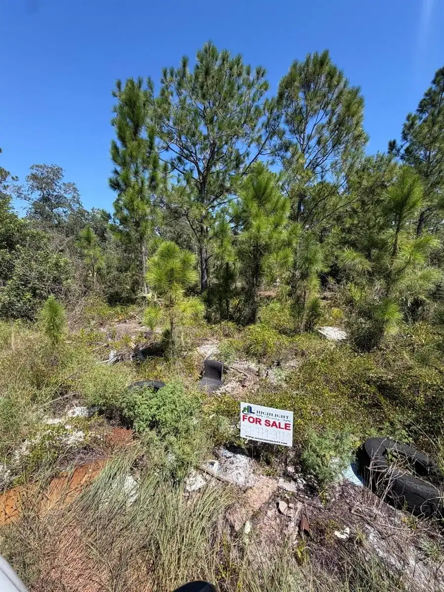 375 CONCERT Drive, Lake Placid FL 33852