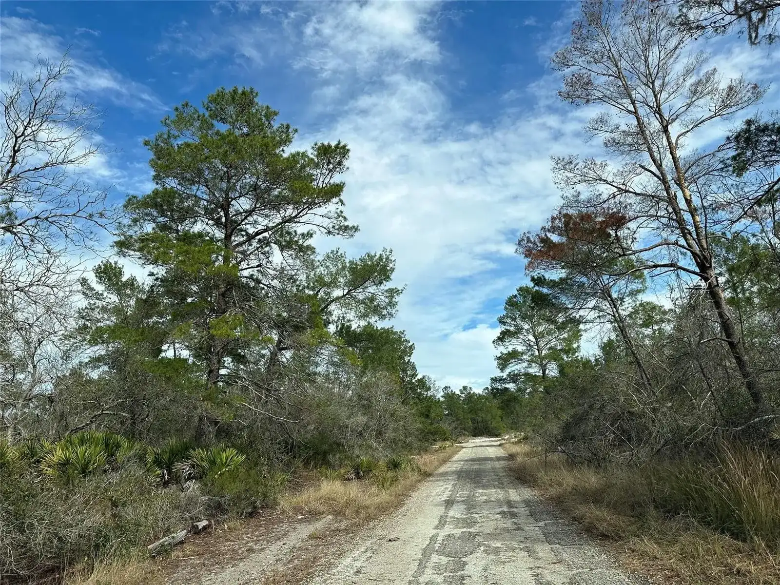 4508 Briarcliff Avenue, Sebring FL 33875