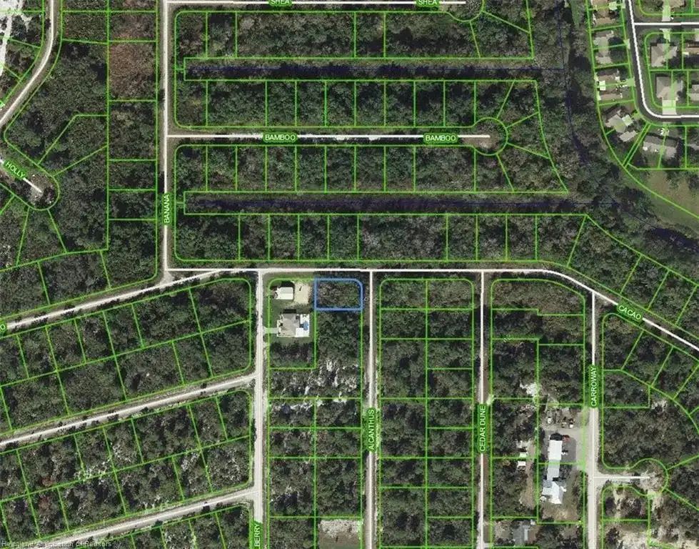 1218 Ailanthus Street, Lake Placid FL 33852