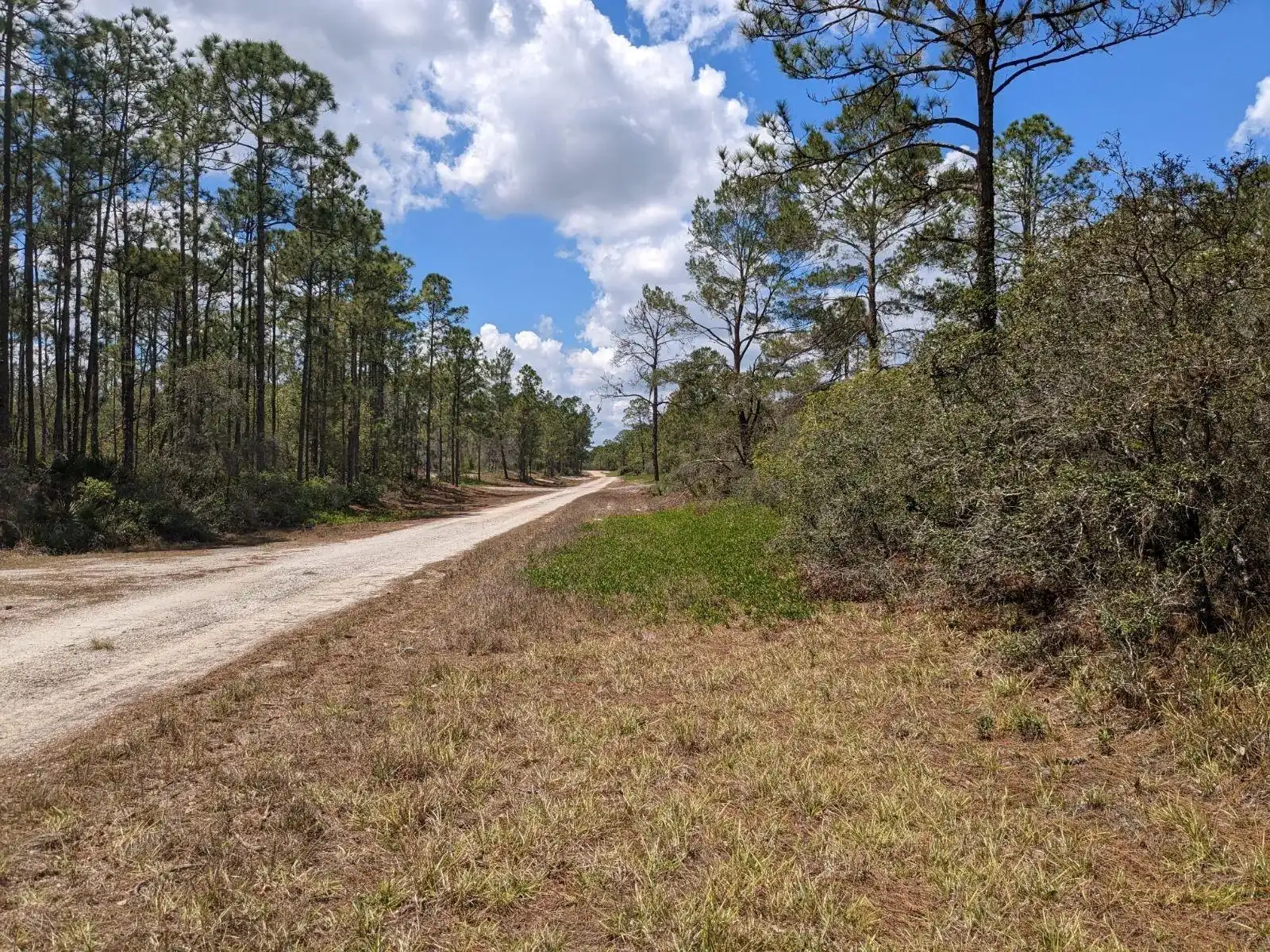 430 Apple Blossom Avenue, Lake Placid FL 33852