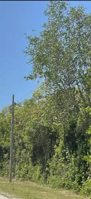 167th & Card Sound Road, Homestead FL 33035
