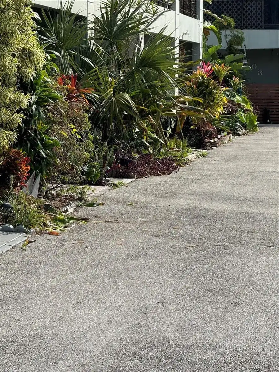 2452 Taylor Street # 204, Hollywood FL 33020