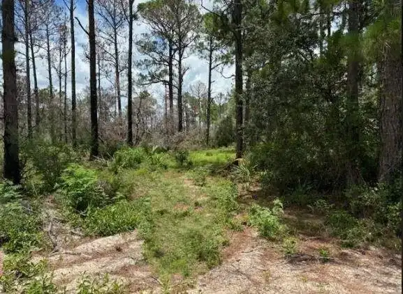 328 Claverton Drive, Lake Placid FL 33852