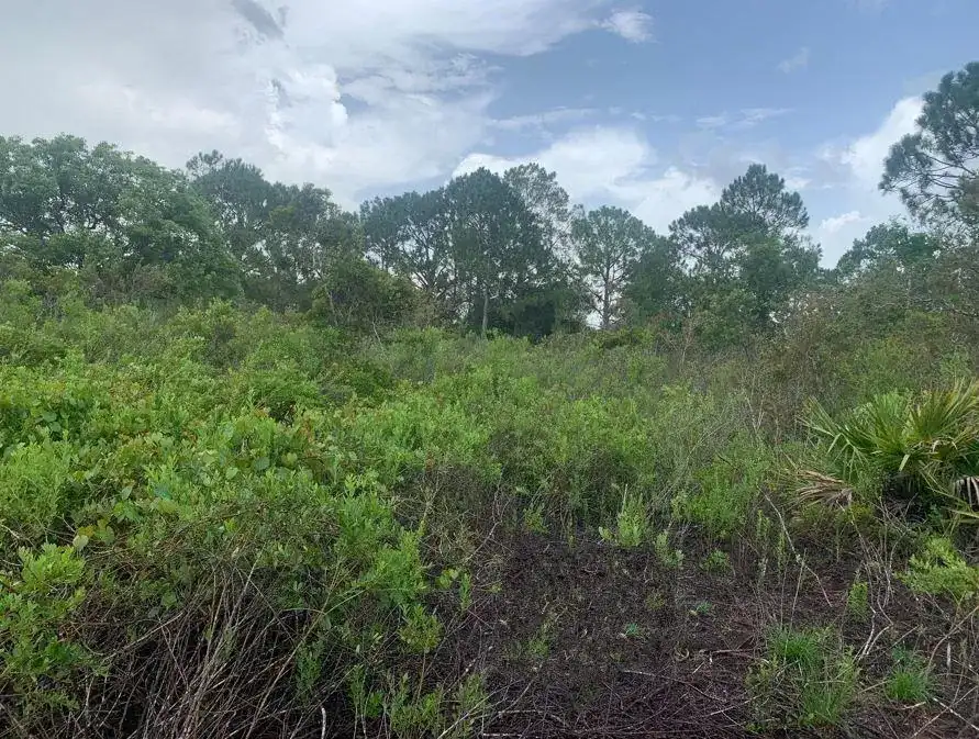 4105 Nogales Avenue, Sebring FL 33872