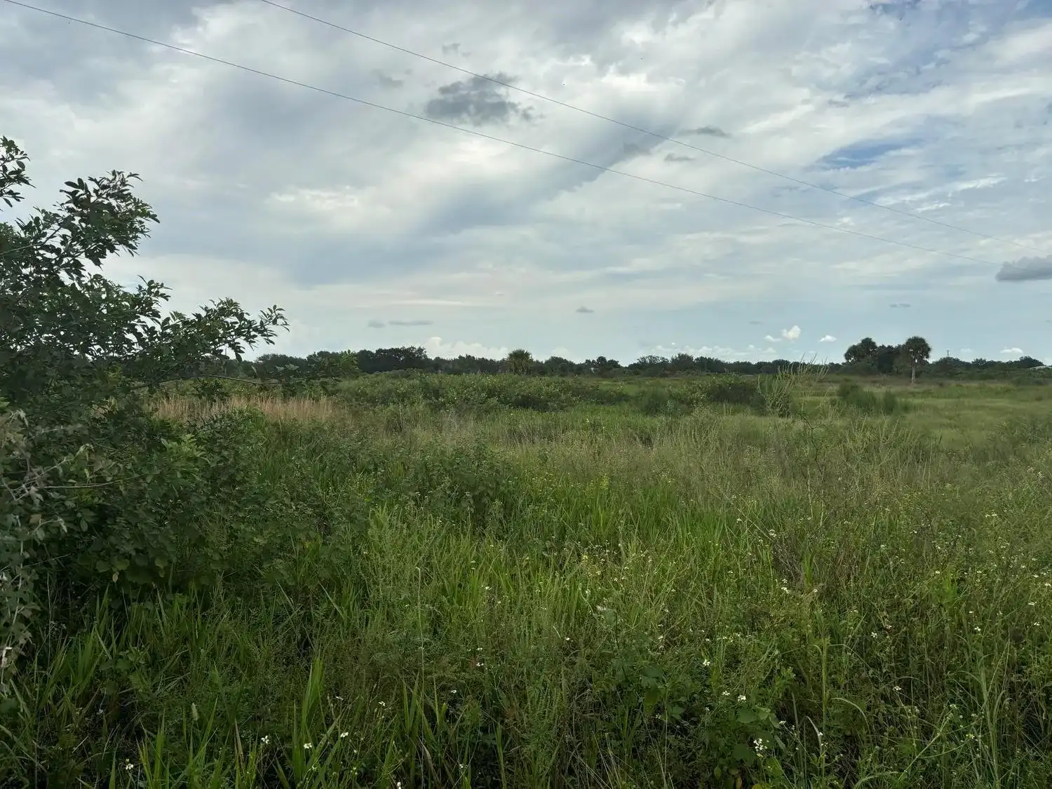 29800 NW 192nd Avenue, Okeechobee FL 34972