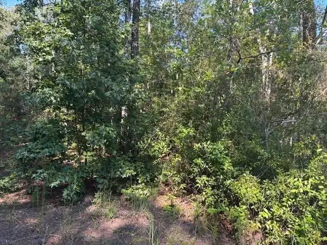 0 SE 8th Avenue, Palatka FL 32177