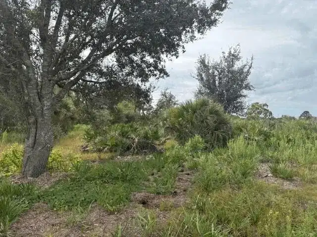 0 302nd Street, Okeechobee FL 34972