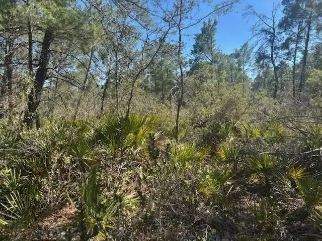 10681 Interlacher Drive, Sebring FL 33852