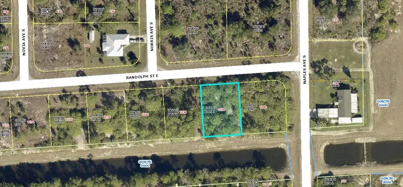 1244 Randolph Street, Lehigh Acres FL 33974