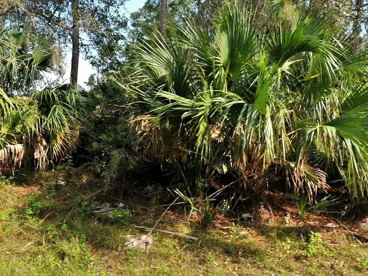 Tbd Abbington Street, North Port FL 34286