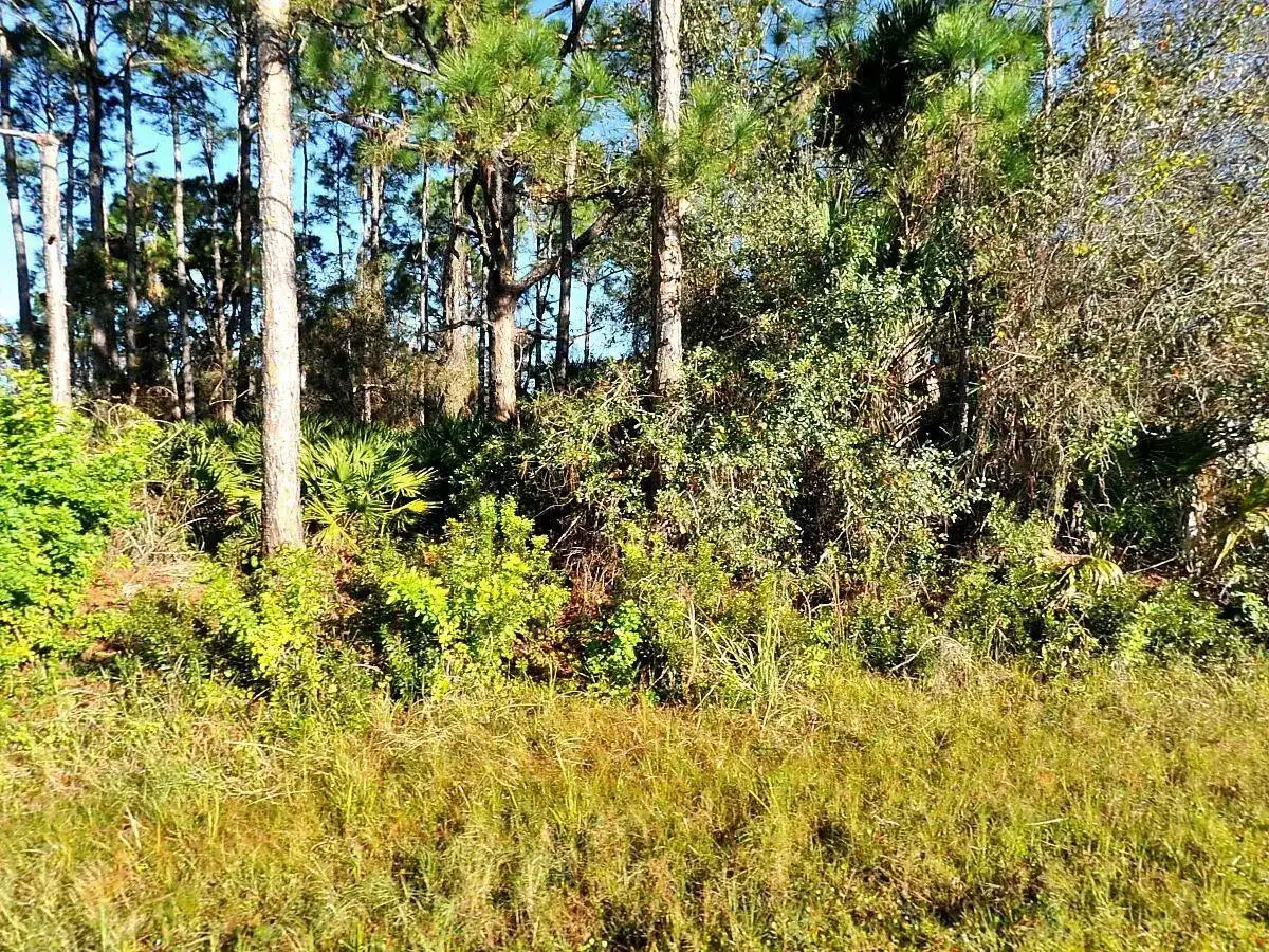 0 Rosa Avenue, North Port FL 34286