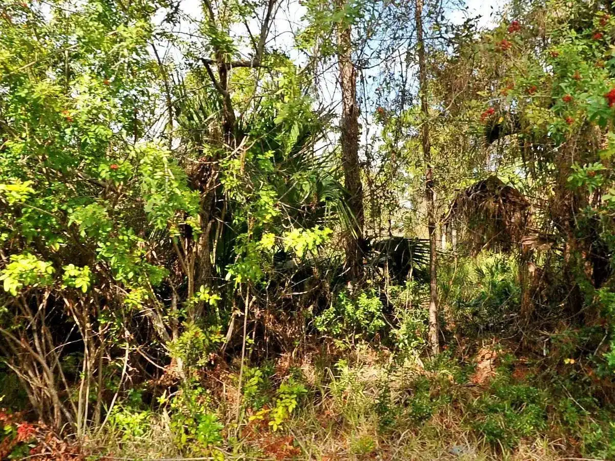 0 Haffenberg Ave Avenue, North Port FL 34288