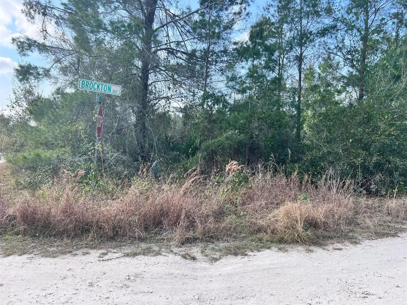 4847 Brockton Avenue, Sebring FL 33875