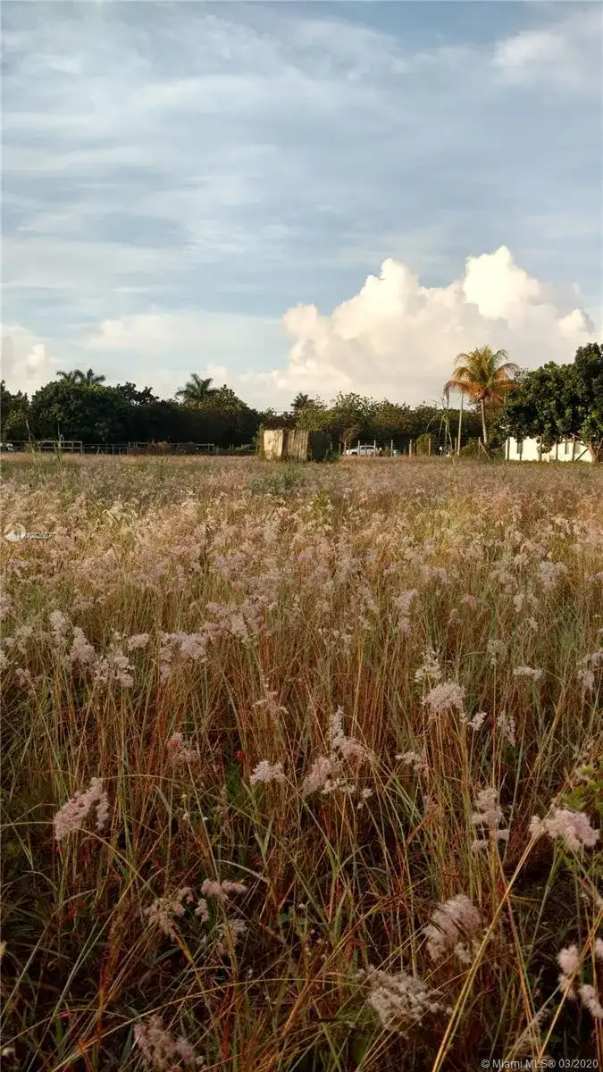 15835 SW 242 St, Homestead FL 33031 photo 5
