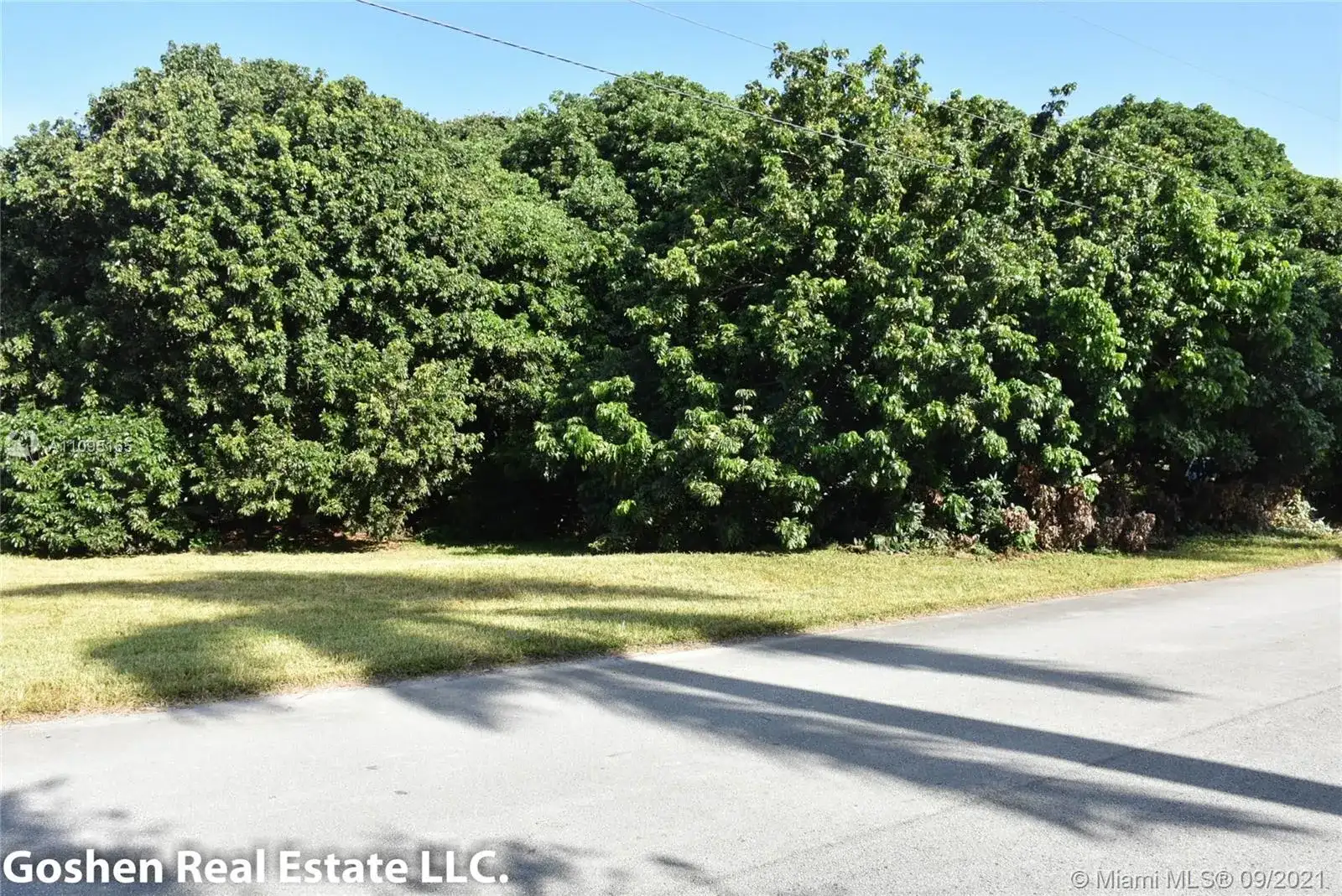 3160 SW 118th Ter, Davie FL 33330 photo 4