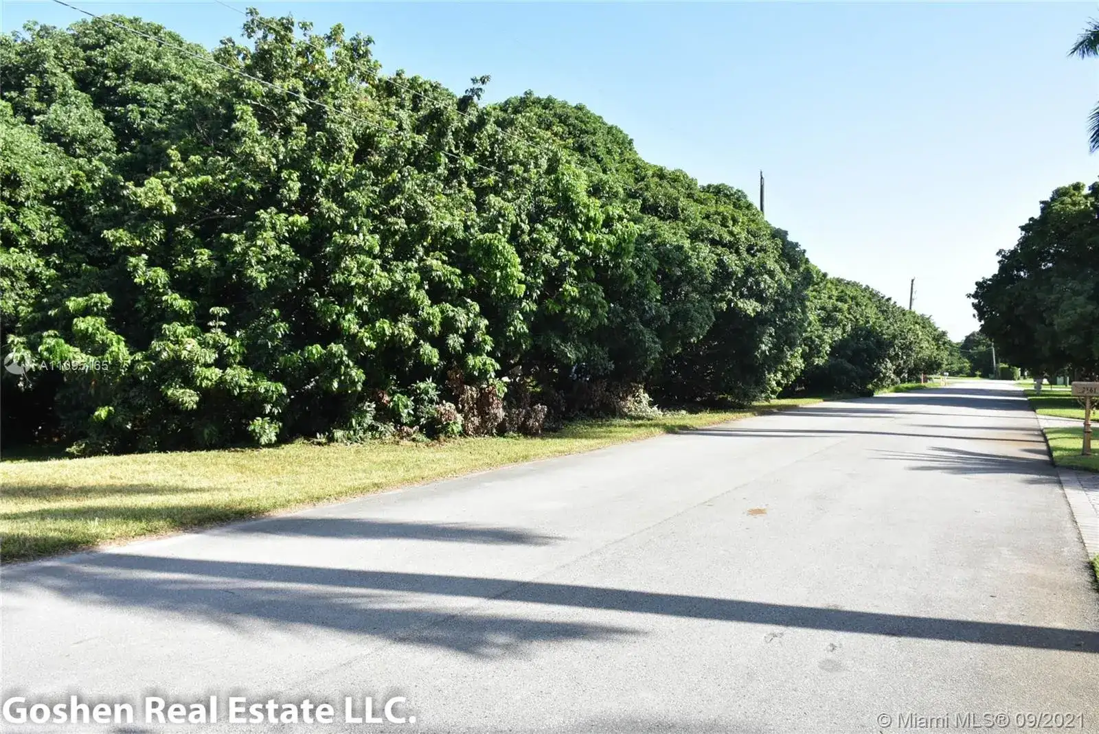 3160 SW 118th Ter, Davie FL 33330 photo 5