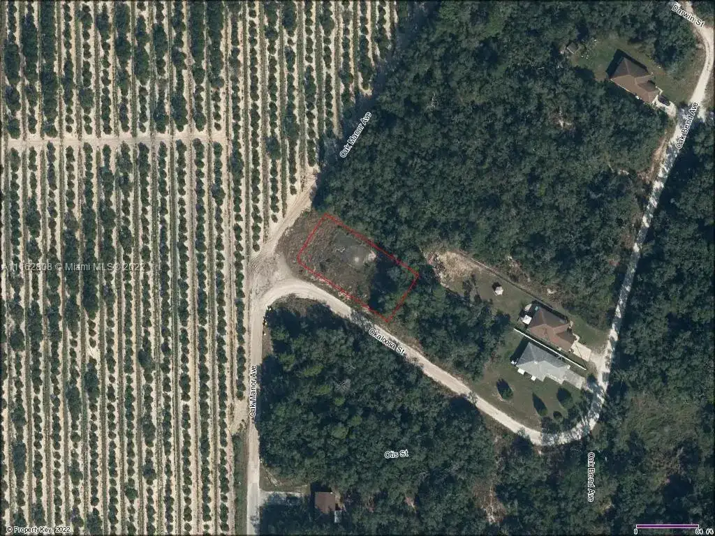 5836 Oak Manor Ave, Sebring FL 33876 photo 3
