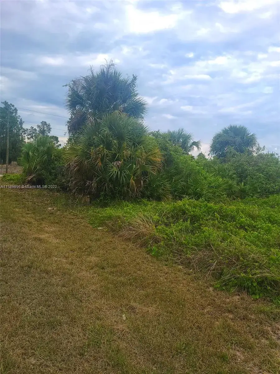 1236 COUNTY ST E, Lehigh Acres FL 33974 photo 4