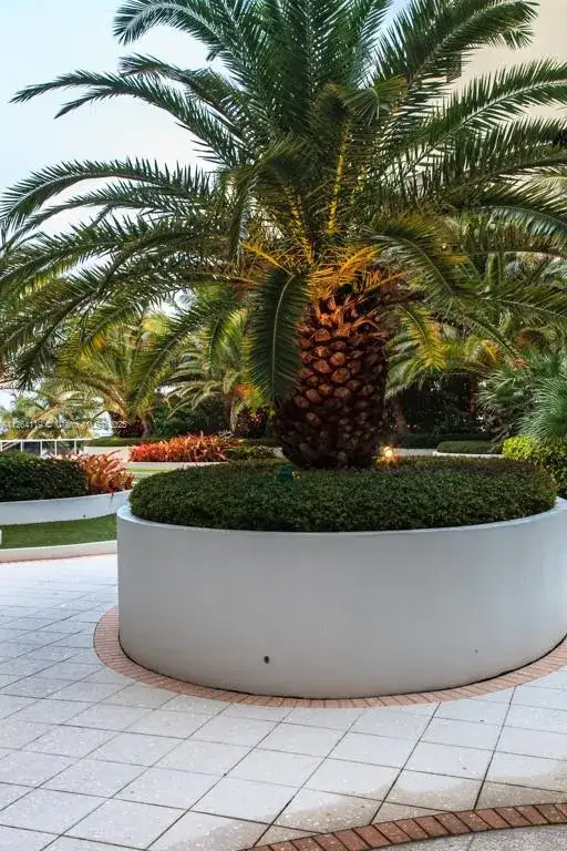 100 Lincoln Rd # 943, Miami Beach FL 33139 photo 5
