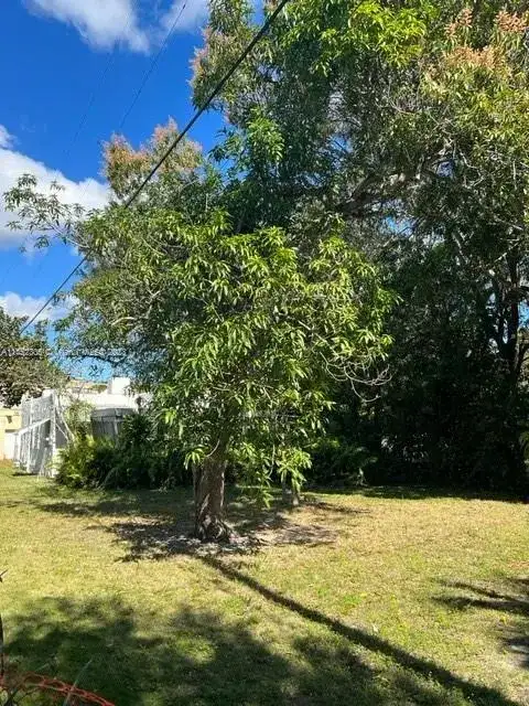 821 NE 120th St, Biscayne Park FL 33161 photo 3
