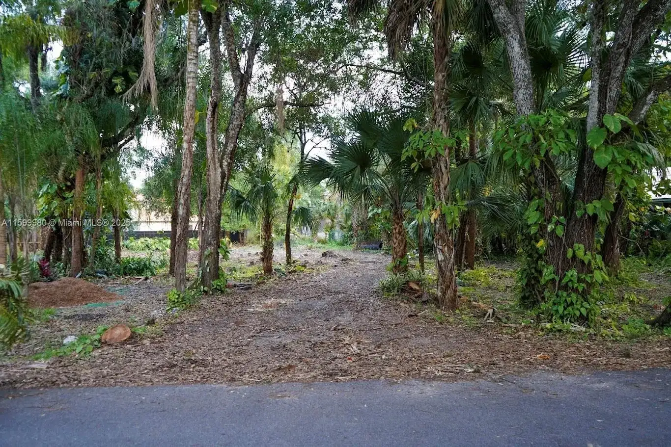 385 Caloosa Dr, La Belle FL 33935 photo 2