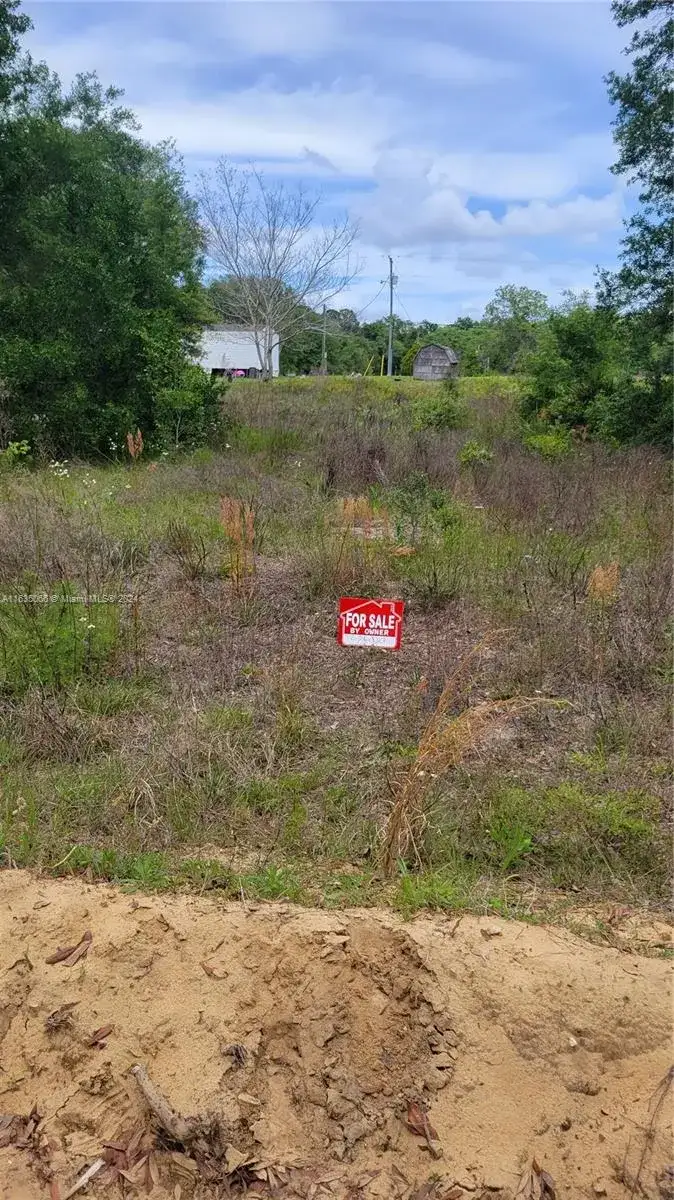 0 Lenore Ave, Palatka FL 32148 photo 2