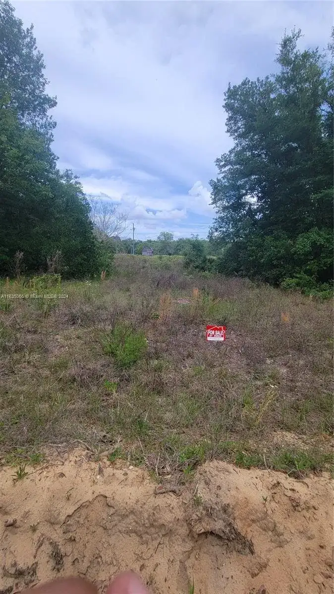 0 Lenore Ave, Palatka FL 32148 photo 3