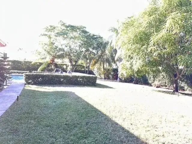 10601 SW 128th St, Miami FL 33176 photo 5