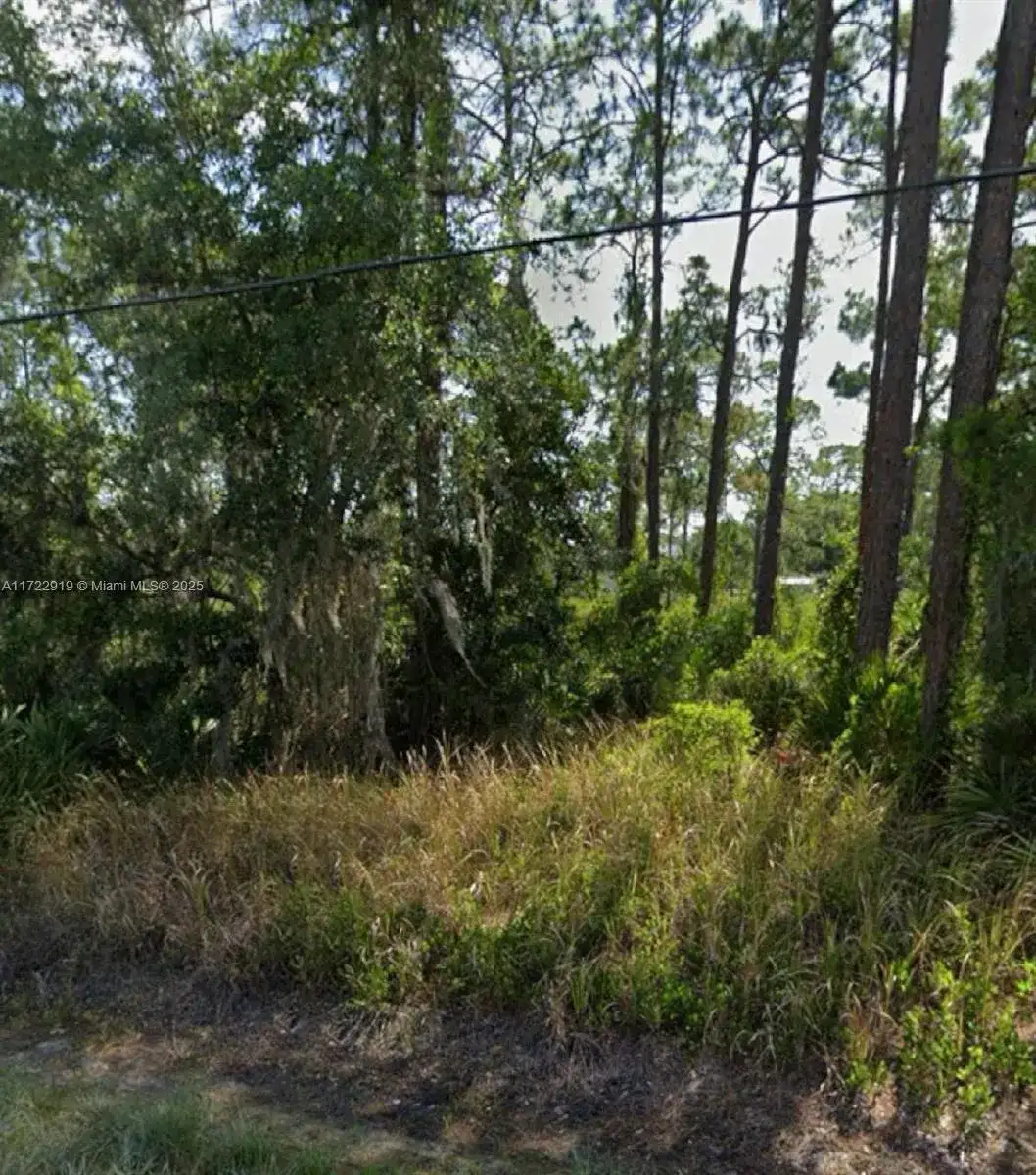 1909 Everlast, Sebring FL 33875 photo 2