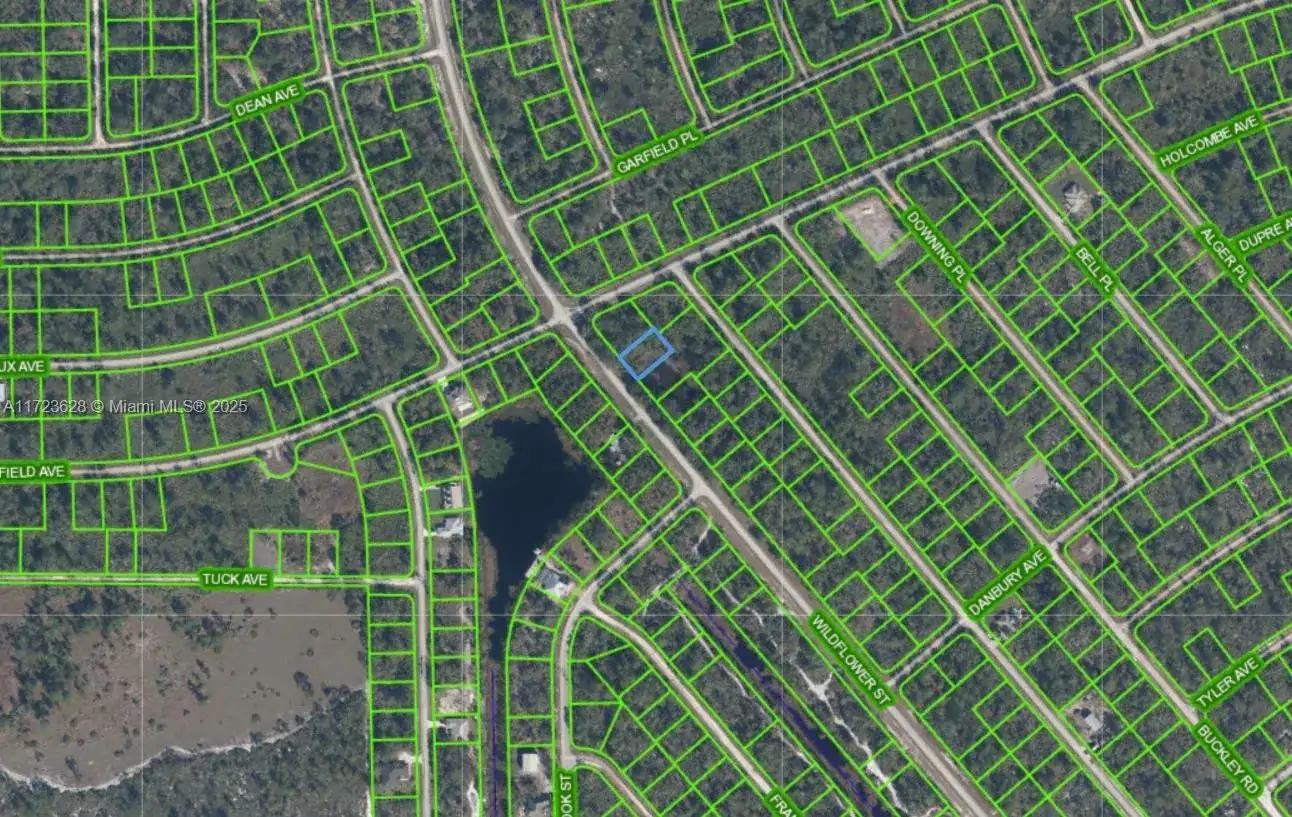 615 Wildflower Street, Lake Placid FL 33852 photo 4