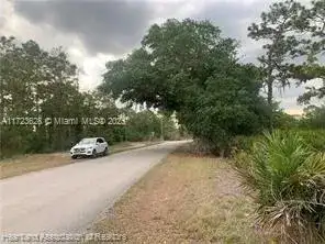 615 Wildflower Street, Lake Placid FL 33852 photo 5