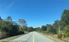 505 Hallmark Avenue, Lake Placid FL 33852 photo 3